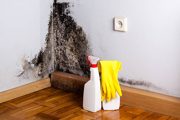 Local water damage restoration